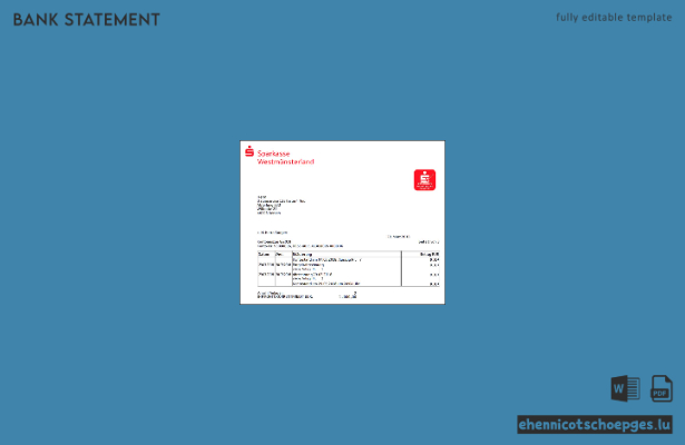 Beispiel eines Kontoauszugs der Sparkasse in Deutschland (Vorschau)